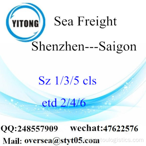Shenzhen Port LCL Consolidation To Saigon